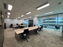 Mapletree Anson (D2), Office #504168151